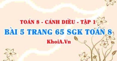 Bài 5 trang 65 SGK Toán 8 tập 1 Cánh Diều